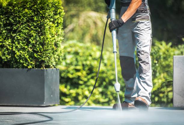 Best Roof Washing  in Calico Rock, AR